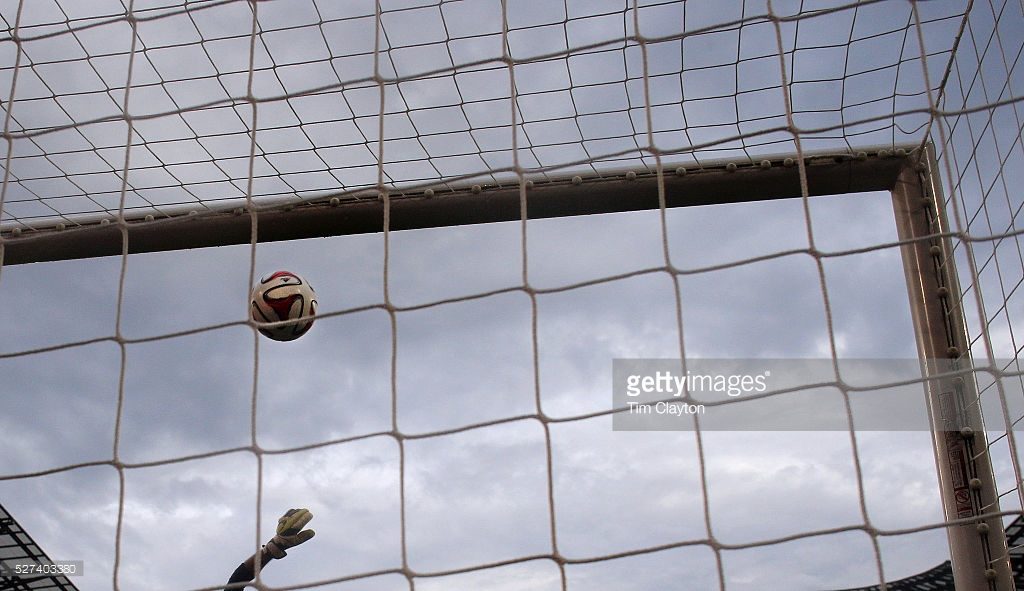professional soccer goal